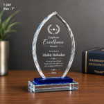 Custom Crystal Award Trophy For Employees 2