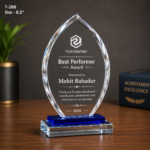 Custom Crystal Award Trophy For Employees 3