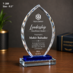 Custom Crystal Award Trophy For Employees 4