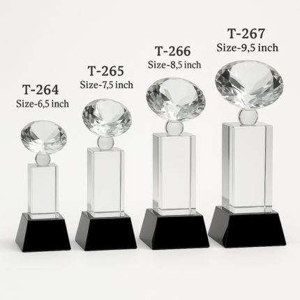 Employee Award Trophy - Leaders Crystal Trophy - Work Anniversary Trophy