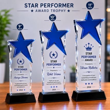 Star Performer Award Trophy