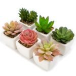 Artificial Succulent Desk Planter – Mini Ceramic Pot