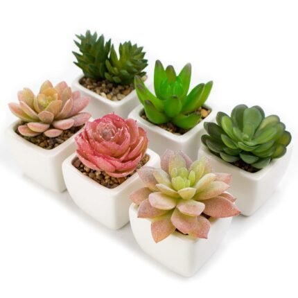 Artificial Succulent Desk Planter – Mini Ceramic Pot