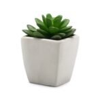 Artificial Succulent Desk Planter – Mini Ceramic Pot