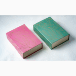 TapWell FlavourBurst Dry Fruit Box