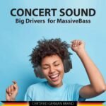 Blaupunkt_Headphone2