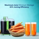 Rico 350W ISI Marked Electric Juicer